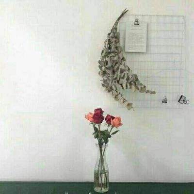 博鱼app手机app下载