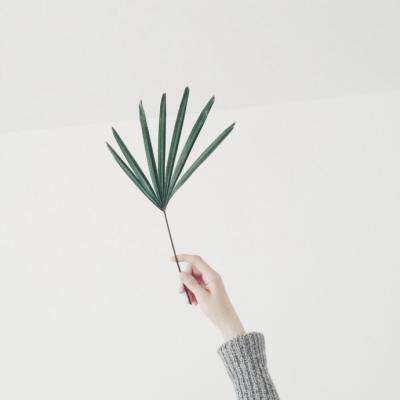 澳门威斯尼斯WNS888入口app下载