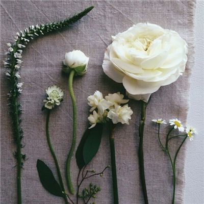 购彩中心welcome入口官方版手机app下载