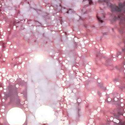 天博tb综合体育官方app