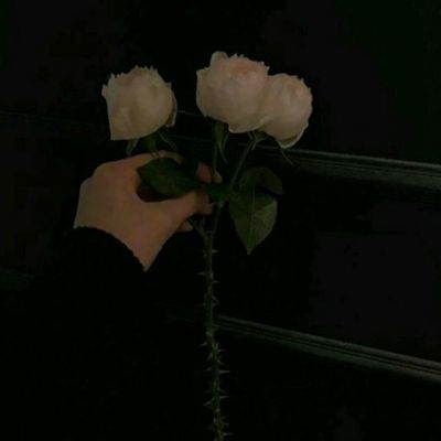 kaiyun·开云手机app下载